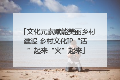 文化元素赋能美丽乡村建设 乡村文化IP“活”起来“火”起来